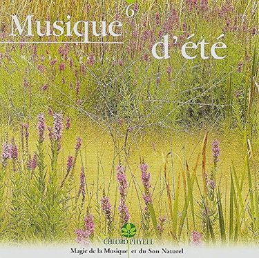 Couverture de Musique D'Eté