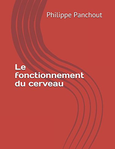 Le fonctionnement du cerveau