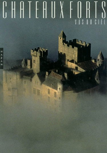 Châteaux forts : vus du ciel