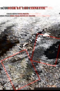 Scooter et trottinette : Chats détectives privés, histoires policières pour petits et grands