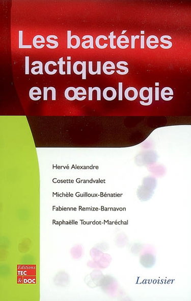 Les bactéries lactiques en oenologie