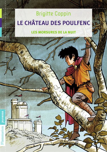 Le château des Poulfenc. Vol. 1. Les morsures de la nuit