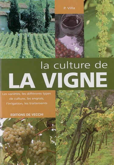 La culture de la vigne