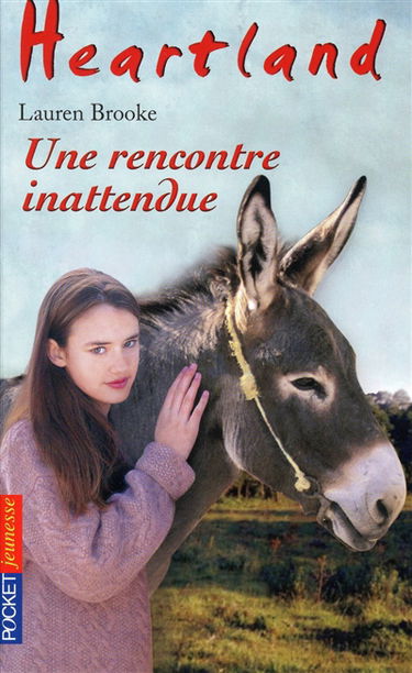 Heartland : le pays où l'amour des chevaux guérit toutes les blessures. Vol. 38. Une rencontre inattendue