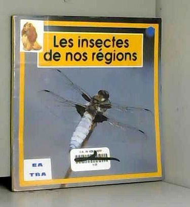 Les insectes de nos regions