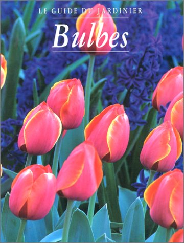 Plantes à bulbes