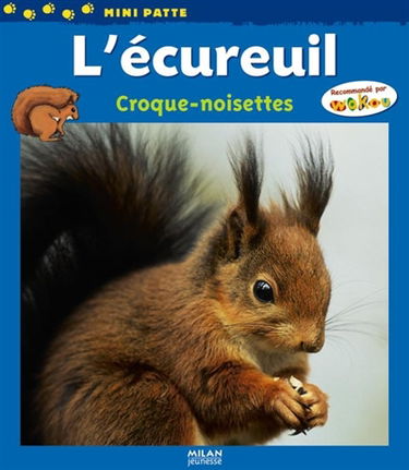 L'écureuil : croque-noisettes