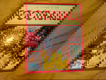 Le Livre d'or du football 1994