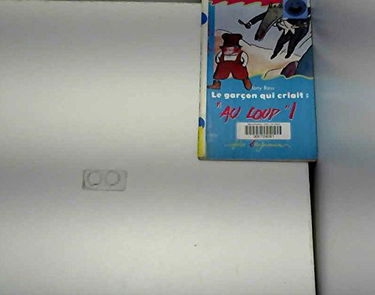 Le garçon qui criait : "Au loup" !
