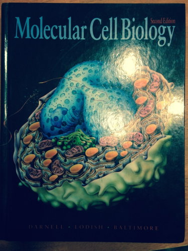 Couverture de Molecular Cell Biology