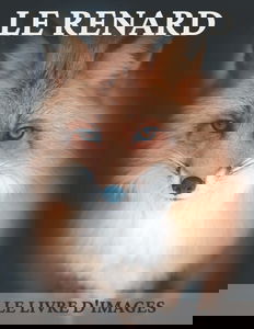 Le Renard: Le livre d'images de beaux renards pour les personnes âgées, les adultes atteints de démence et les patients pour aider la perte de mémoire.