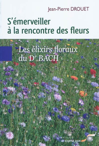 S'émerveiller à la rencontre des fleurs : les élixirs floraux du Dr Bach