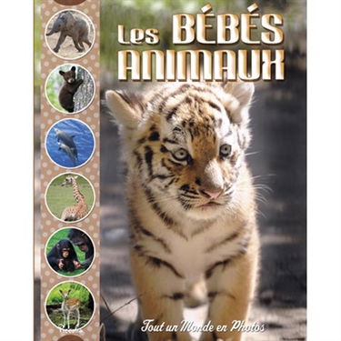 Les bébés animaux
