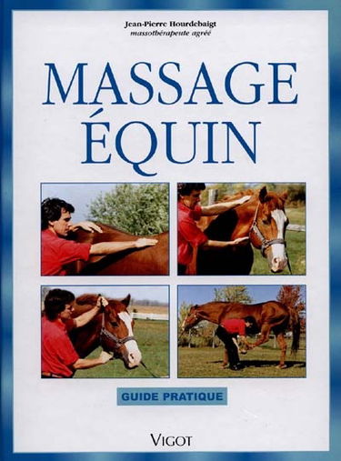 Massage équin : guide pratique