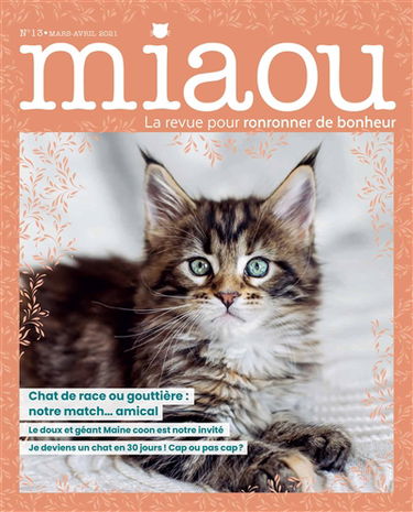 Miaou : pour ronronner de bonheur, n° 13. Chat de race ou gouttière : notre match... amical