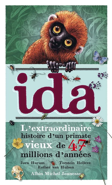 Ida : l'extraordinaire histoire d'un primate vieux de 47 millions d'années