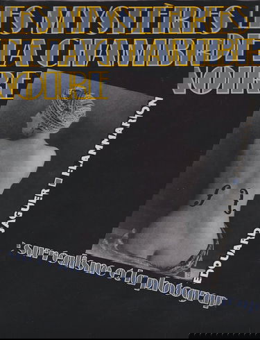 Les Mystères de la chambre noire : le surréalisme et la photographie