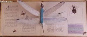 En vol : un livre animé en relief