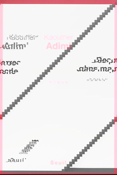 Des pierres dans ma poche