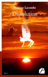 Dissolution