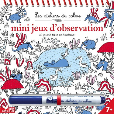 Mini jeux d'observation : 30 jeux à faire et à refaire !