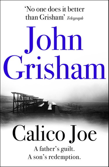 Couverture de Calico Joe: An unforgettable novel about childhood, family, conflict and guilt, and forgiveness