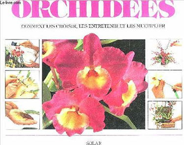 Orchidées : comment les choisir, les entretenir et les multiplier