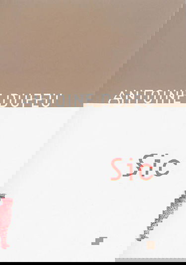 Sic. Zastava ? Je répondis si sottement