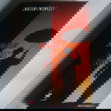 Le commissaire Léon. Vol. 9. Bonjour chez vous !