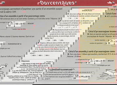 Pourcentages, surfaces et volumes