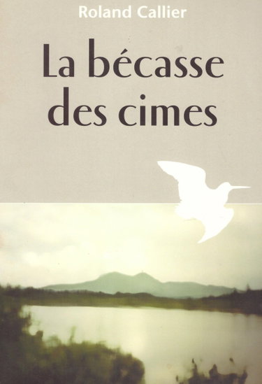 Couverture de La bécasse des cimes