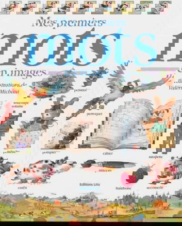 Mon grand livre de mots