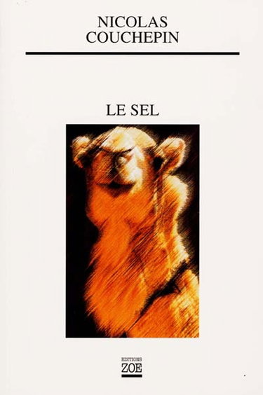 Couverture de Le sel