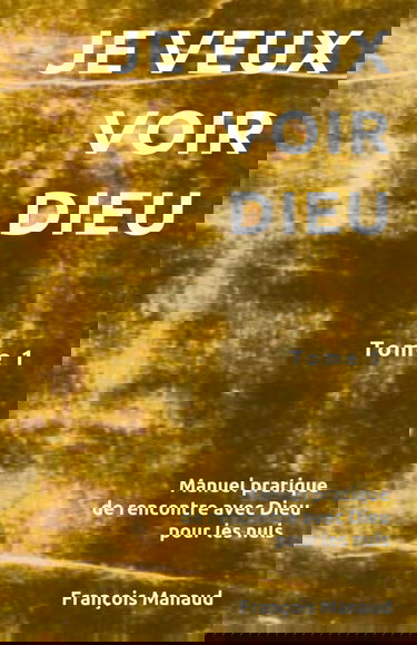 JE VEUX VOIR DIEU ! Manuel pratique de rencontre avec Dieu pour les nuls