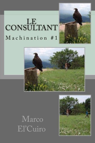 Le Consultant - Machination #1: Dans la machination DSK