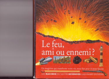 Le Feu, ami ou ennemi ?
