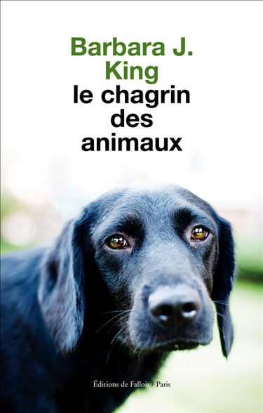 Le chagrin des animaux