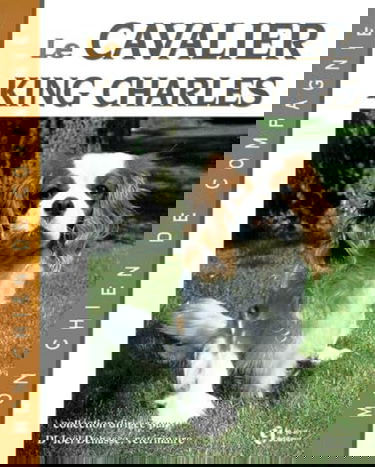 Le cavalier King Charles