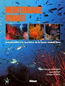 Méditerranée vivante : promenade à la rencontre de la faune et de la flore