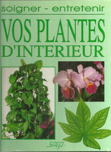 Soigner entretenir les plantes d'interieur