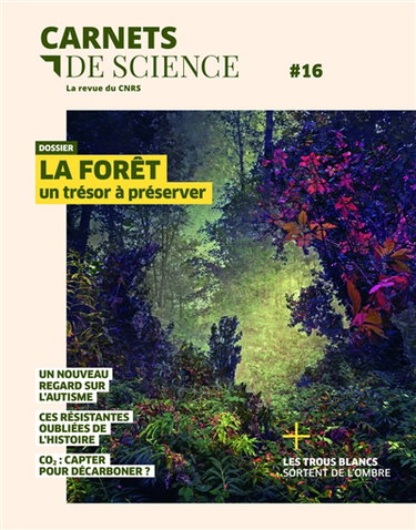 Couverture de Carnets de science, n° 16. La forêt : un trésor à préserver par Collectif
