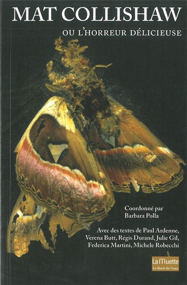 Mat Collishaw ou L'horreur délicieuse