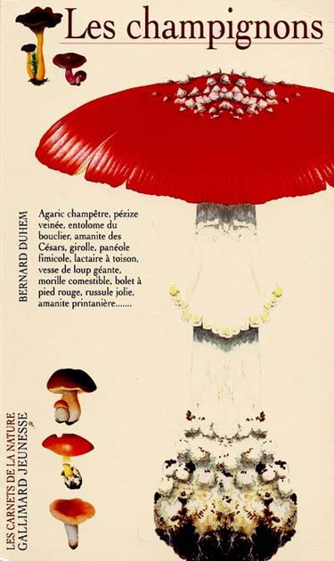 Les champignons