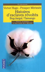 Histoires d'esclaves révoltés