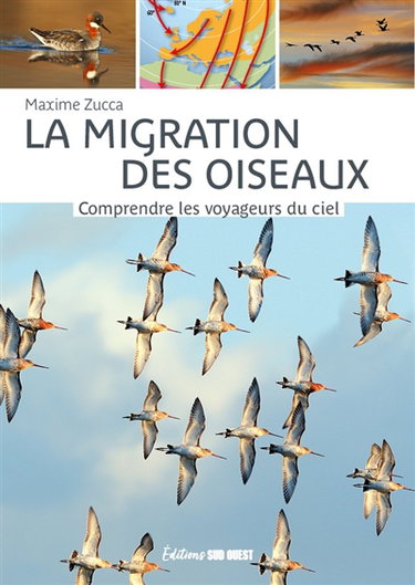Couverture de La migration des oiseaux : comprendre les voyageurs du ciel