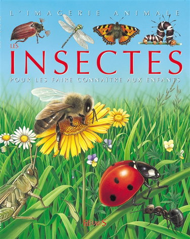 Les insectes : pour les faire connaître aux enfants