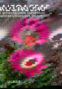 Aizoaceae: Die Mittagsblume Südafrikas