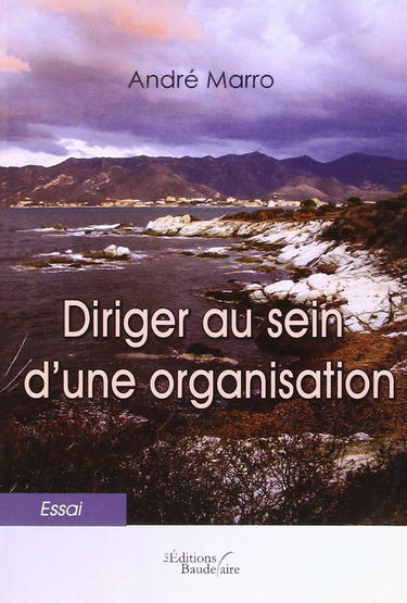 Diriger au Sein d une Organisation