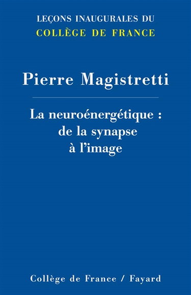 Couverture de La neuroénergétique : de la synapse à l'image
