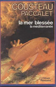 La mer blessée
